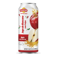 Jugo cancun de manzana 24pz 490ml