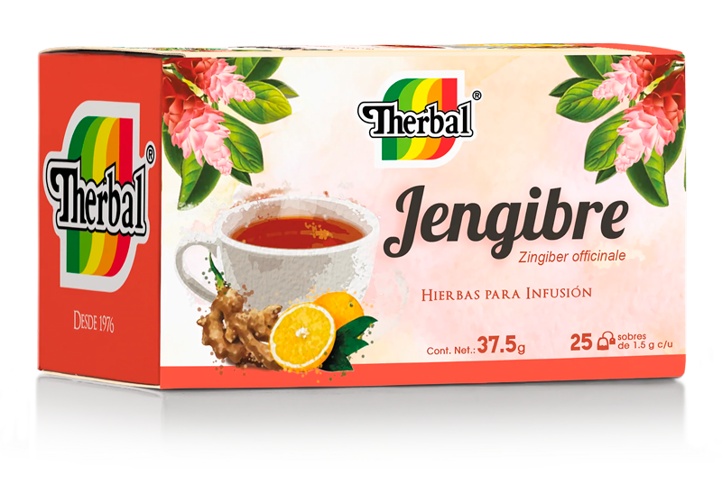 Therbal Tea Ginger (Ginger) 25Ct 